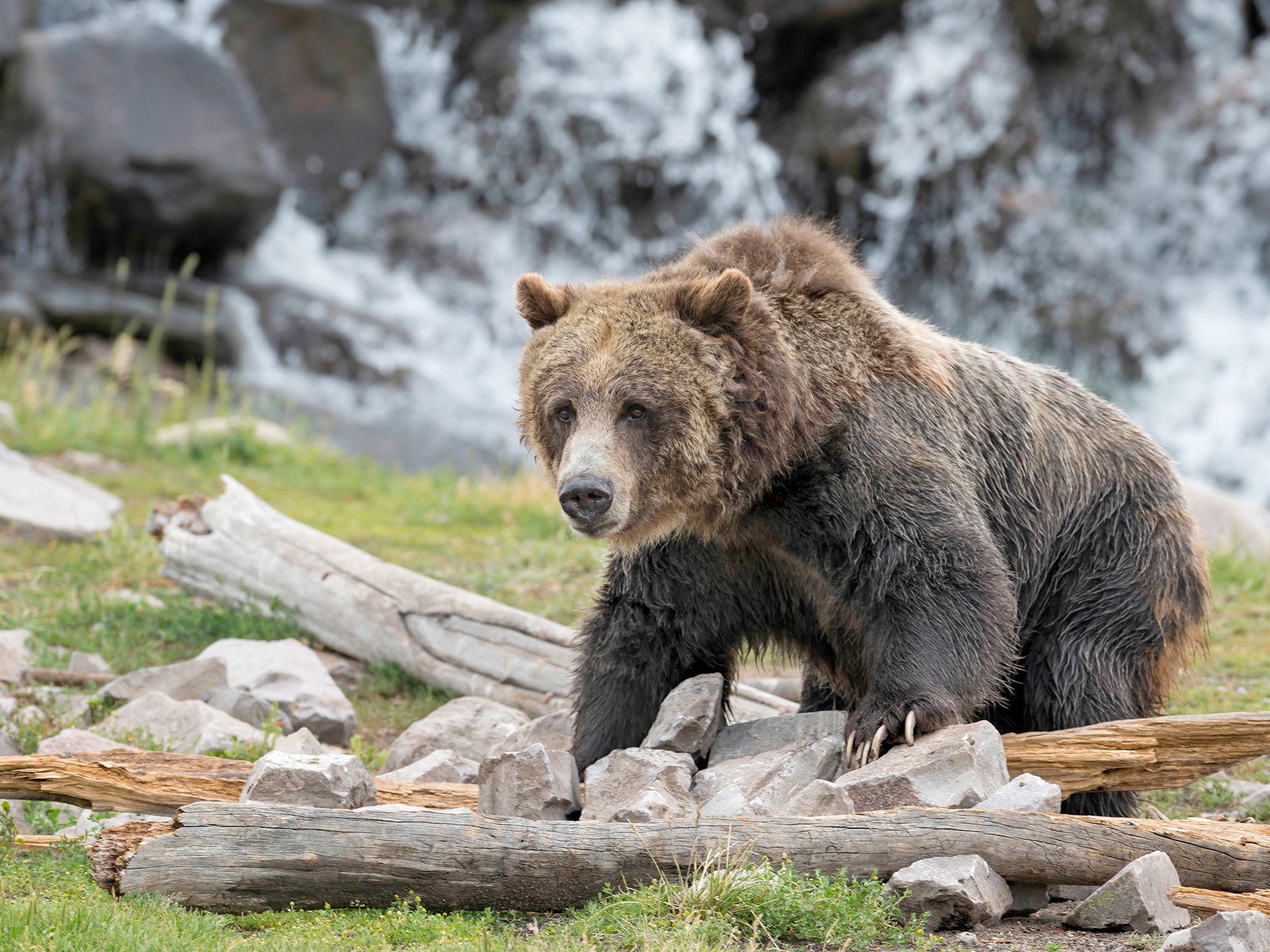 . Yellowstone Park .